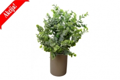 082 veštački eukaliptus